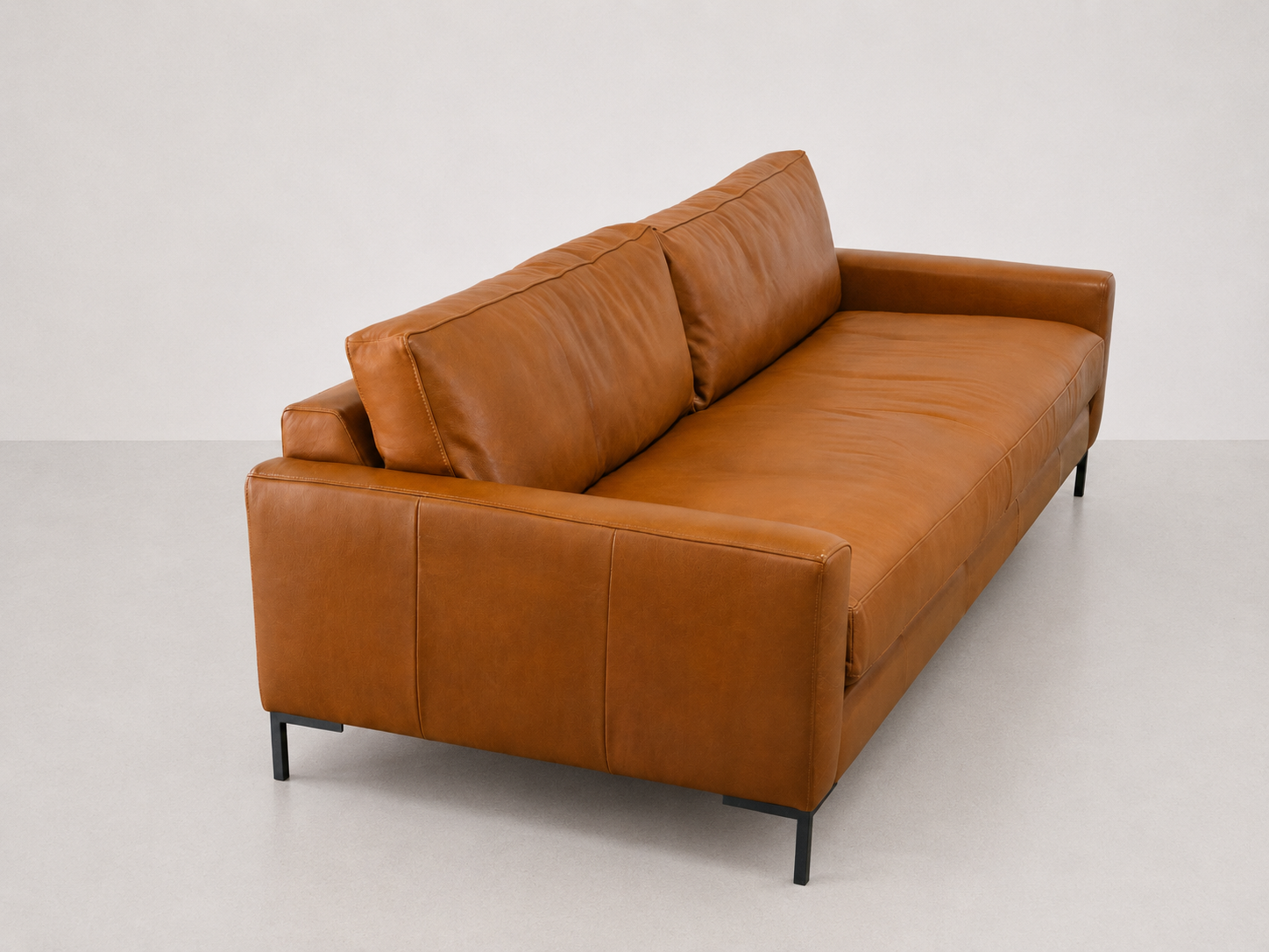 Delta 2.1 Couch in Leather