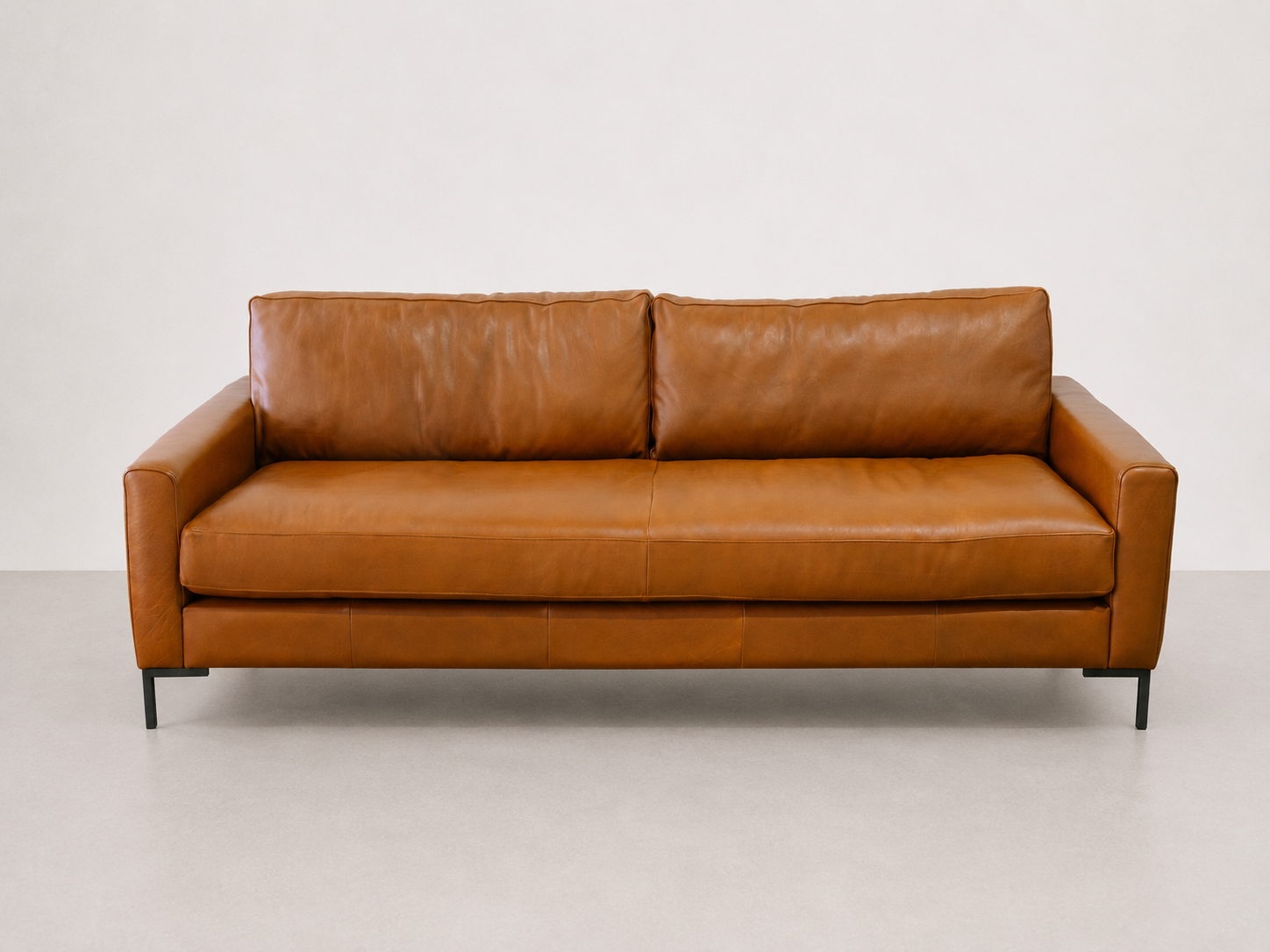 Delta 2.1 Couch in Leather