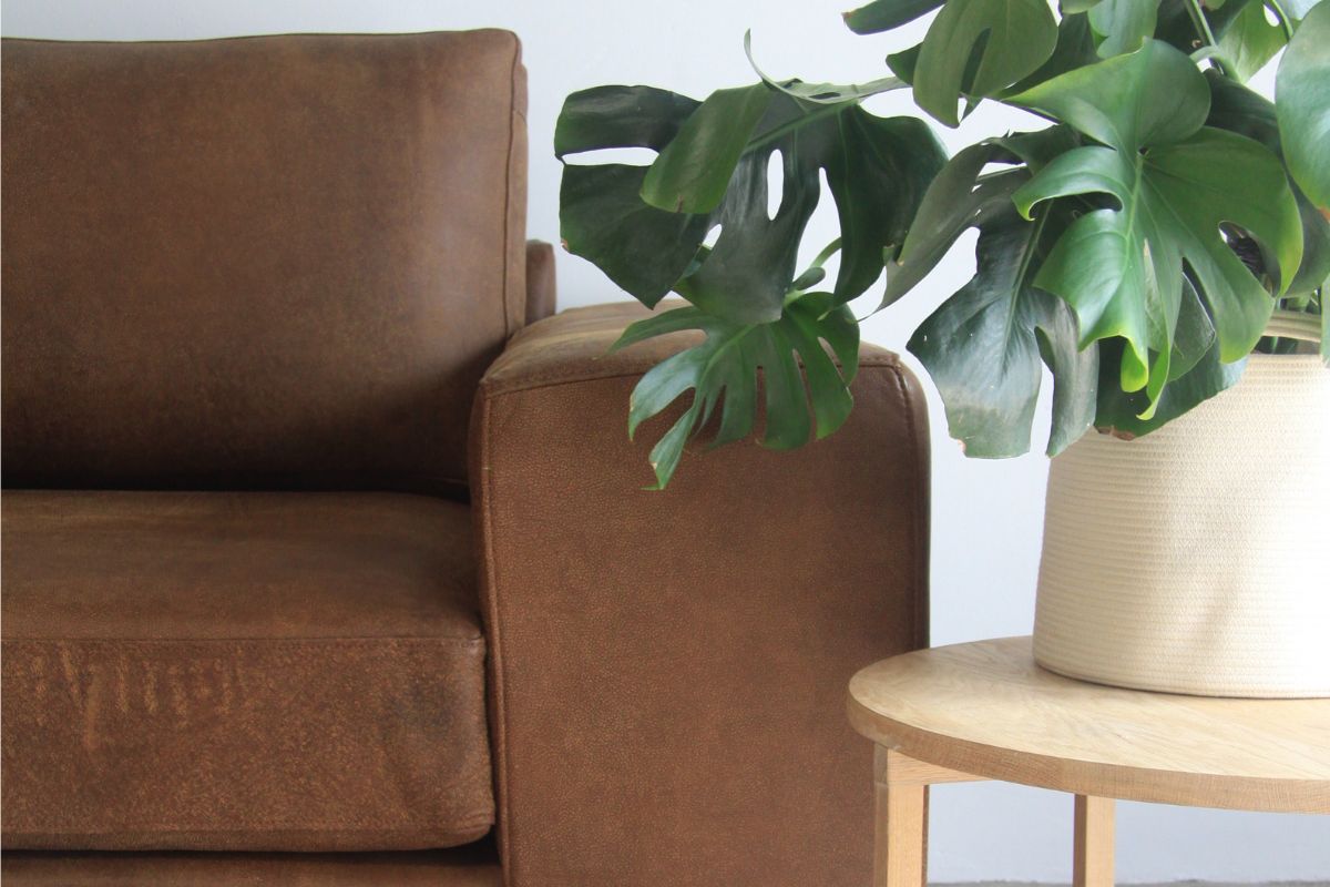 Seeheim Bomb Beta Brown Sofa