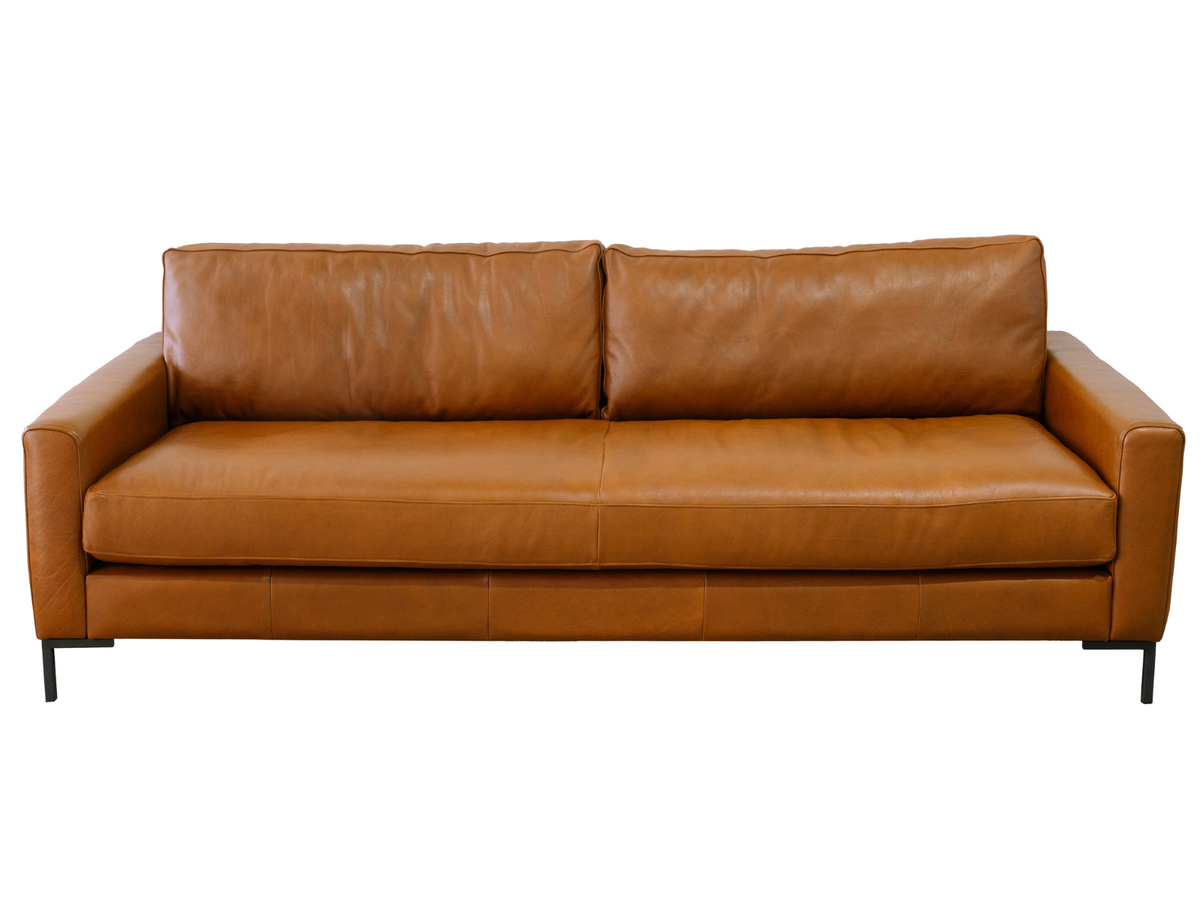 Delta 2.1 Couch in leather